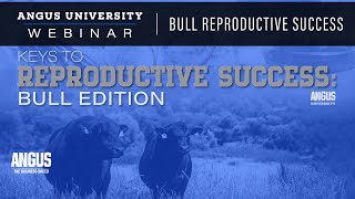 Bull Reproductive Success | WEBINAR - Jan. 24, 2023 - Dr. Randall Spare