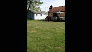 IMG 55351]