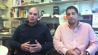 Flow Cytometry Core Facilities - 2011 Annual Report