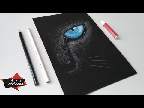 Cómo dibujar un GATO paso a paso en fondo negro/ Cat Eye. - thptnganamst.edu.vn