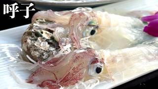 【佐賀1泊2日】呼子のイカ活き造り旅館が凄すぎた…海鮮づくしの唐津ひとり旅