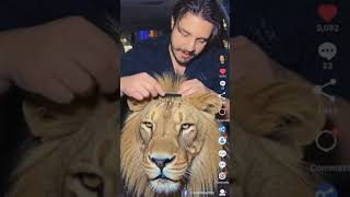 lions #taxidermy #taxidermyart #viral #viralvideo #viralreels #viralshorts #viralvideos #viralnews