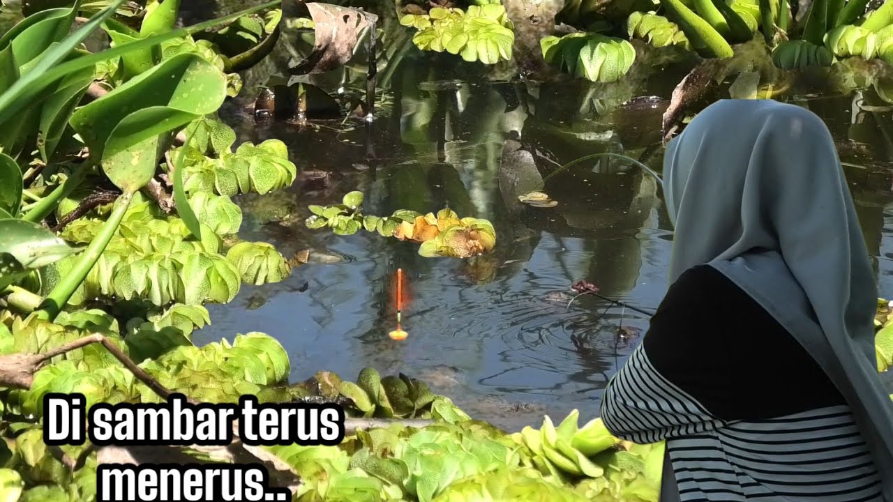 REZEKI!!..KAMI MENEMUKAN SARANG IKAN-IKAN LIAR....!!!