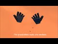 TrailMakers Hands (link in description)