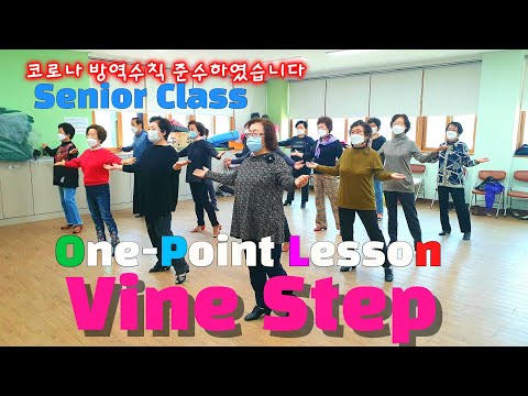 Line Dance First Steps Part 3!!! Vine Step Tutorial | Line Dance Basics