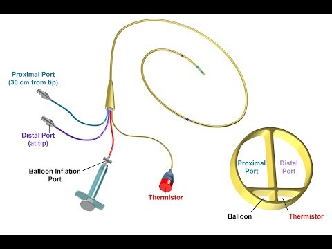 Proper Insertion and Use of a Pulmonary Artery Catheter -- BAVLS