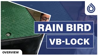 Rain Bird VB-Lock-H Valve Box Hex Bolt Lock A11466 