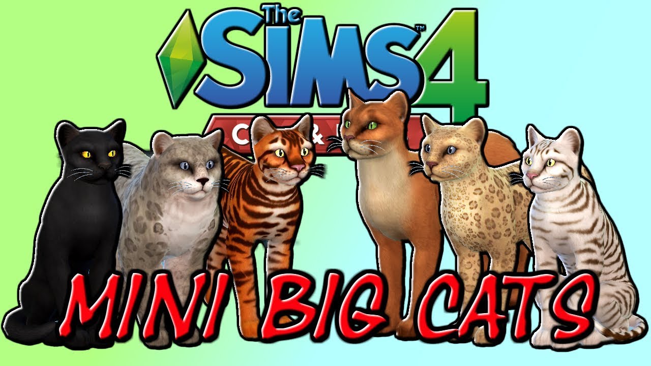big family cats