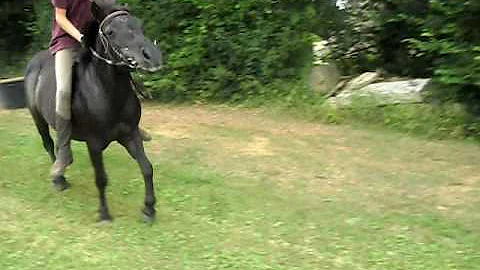 Caroline & Moua. Saut de 50cm