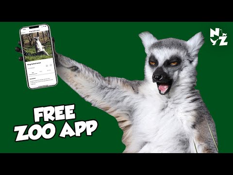 FREE Zoo App And What YOU Can Get Out Of It!