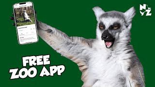 FREE Zoo App and what YOU can get out of it! screenshot 2