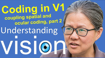 Understanding vision book:  Chap 3, efficient coding 26.2, coupl space & ocular coding in V1, part 2