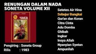 RENUNGAN DALAM NADA Album Soneta Volume 12