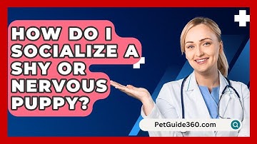 How Do I Socialize A Shy Or Nervous Puppy? - PetGuide360.com