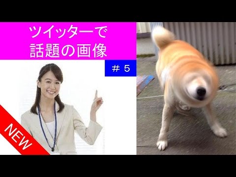 ツイッターで話題の画像 # 5 一番のおもしろ画像は？