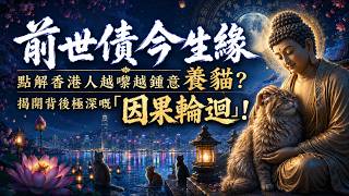 前世債·今生緣，點解香港人越嚟越鍾意養貓？揭開背後極深嘅「因果輪迴」！【粵語佛學故仔】#家庭共業 #廣東話 #佛學智慧 #北俱盧洲 #粵語 #香港故事 #養貓 #貓奴 #香港人 #主子 #貓 #奴才 screenshot 3