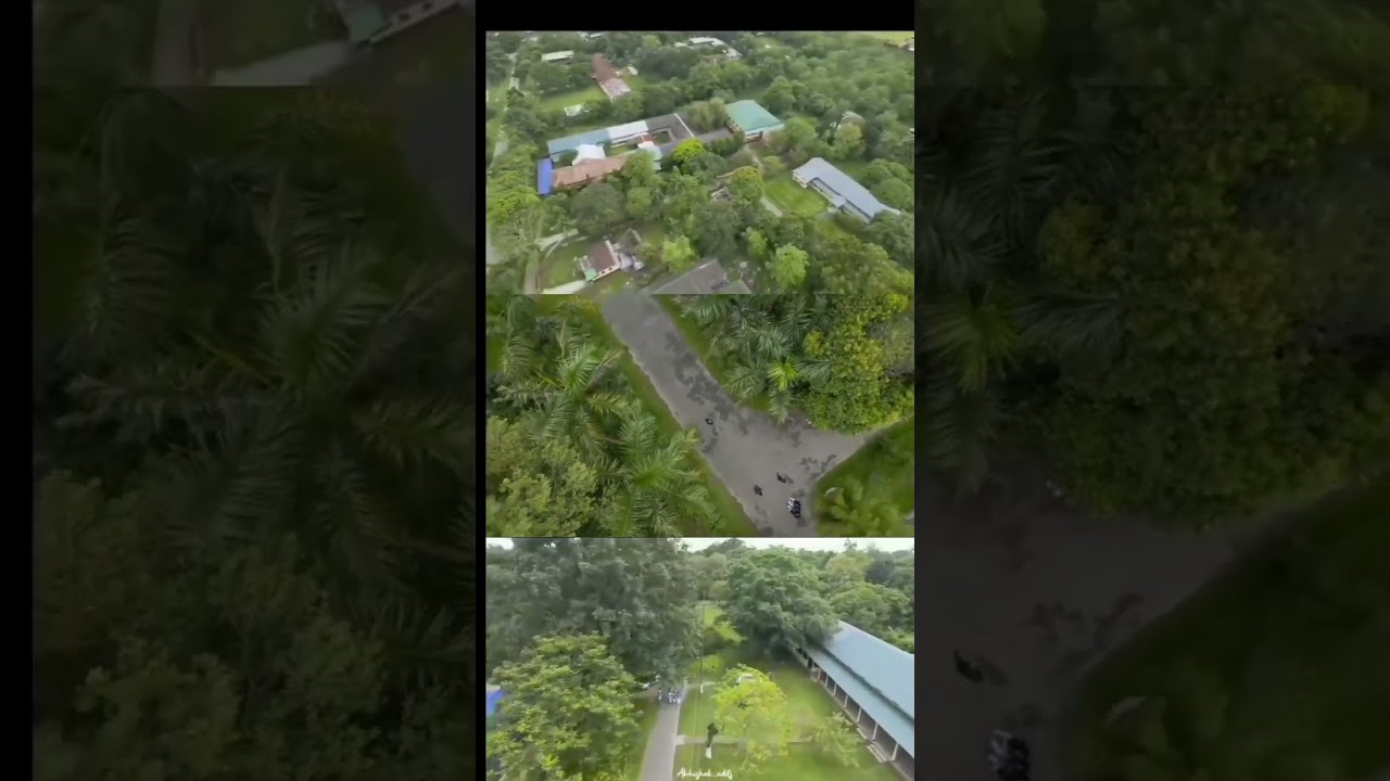 Assam, Biswanath college 🥰❤️