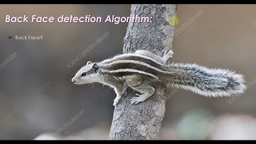 Back Face Detection Algorithm | Computer Graphics