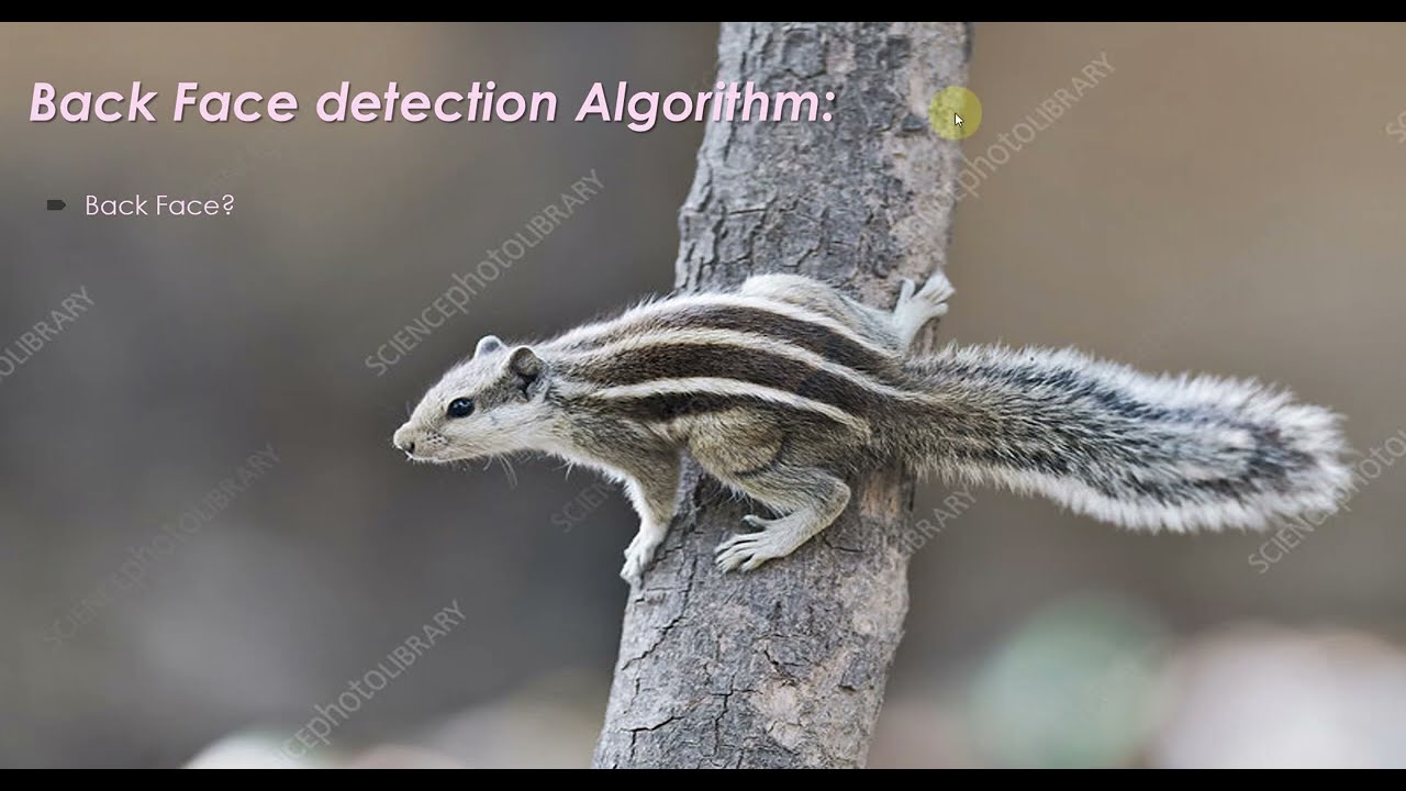 Back Face Detection Algorithm | Computer Graphics