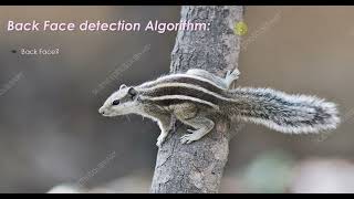 Celebrity Back Face Detection Algorithm | Computer Graphics Wealth