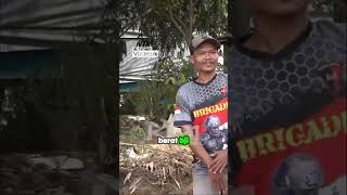 Modus Jual Beli Tanah!!! #kdm #kangdedymulyadi