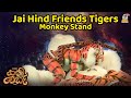 Jai Hind Friends Tigers, Monkey Stand | ಟೀಮ್ ಕಲ್ಲೇಗ ಟೈಗರ್ಸ್ | Pili Parba 2023 | ಪಿಲಿ ಪರ್ಬ 2023
