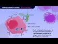 The Humoral Immune Response