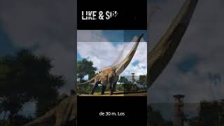 "10 Datos INCREÍBLES de Santa Cruz que te van a volar la cabeza" #curiosidades