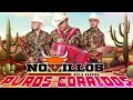 Novillos De La Sierra 🔥 Puros Corridos MIX - Puras Llegadoras 🏔️ Grandes Exitos