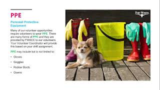 FWACC Dog Caretaker
