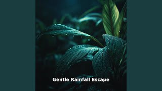 Gentle Rainfall Escape Motion, Pt.22