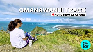 Hike at Omanawanui Track | Signal House Track | Huia, Auckland, New Zealand