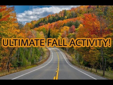 What Is The Best Fall Activity