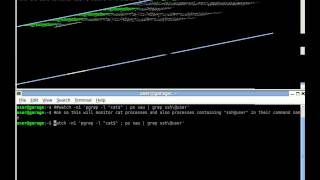 Running commands remotely using ssh and a timeout (timeout, ssh, background)