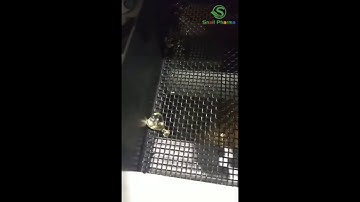 Small scale/Lab/R&D Y-50 Softgel encapsulation machine for Vegetarian starch and Animal gelatin