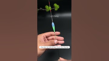 Phao điện cảm biến chuyên câu cá tổng hợp #cauca #fishing #shorts