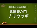 紫陽花入門・ノリウツギ　ー富久樹園チャンネルー