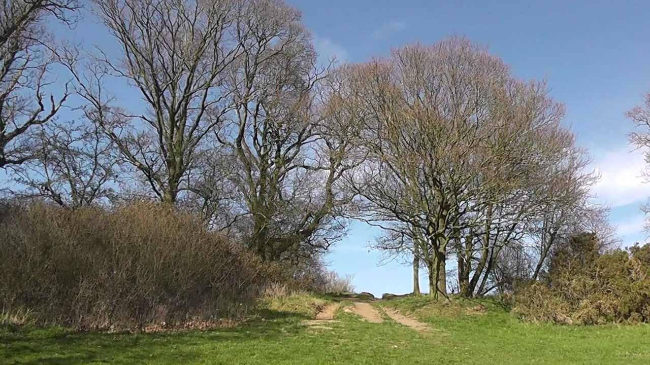 Old Hills, Callow End, Worcester, Worcestershire, England 25th March 2012