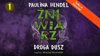 Download Lagu Droga dusz Autor Paulina Hendel Fantastyka po Polsku książki AudioBook PL MP3