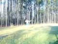 outside beauty :)