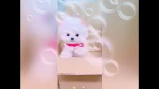 i love you baby ❤️