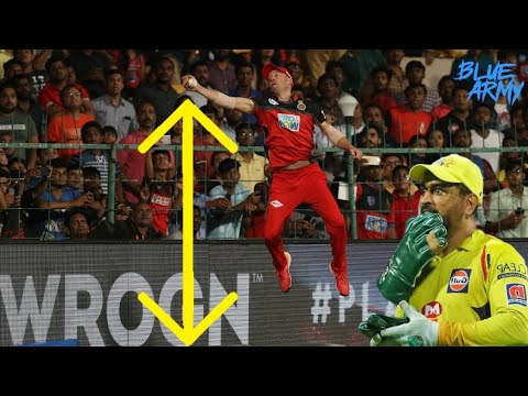 Cricket moments that shocked😳😳 everyone Cricket shorts - YouTube