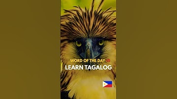 TAGALOG WORD OF THE DAY🤔💭DISCOVER THE BEAUTY OF THE FILIPINO LANGUAGE VIDEO 15
