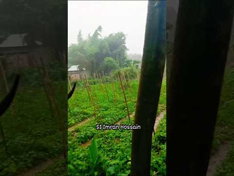 Today Rain Time 🌧️🌧️ #unfrez #newsong #new #nature #rainsounds #rain #relaxingsound #calmingsounds