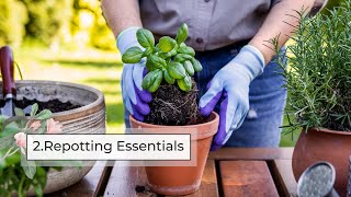 Houseplant Repotting Course, Part 2 | What You Need to Repot a Plant