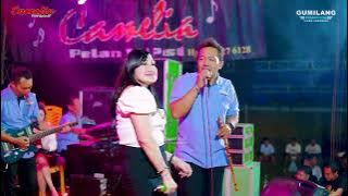 Download lagu CAMELIA MUSIC - KERINDUAN - AYU LESTARI - GOGOR RINGIN & LAMBE TURAH - CEPOGO KEMBANG JEPARA