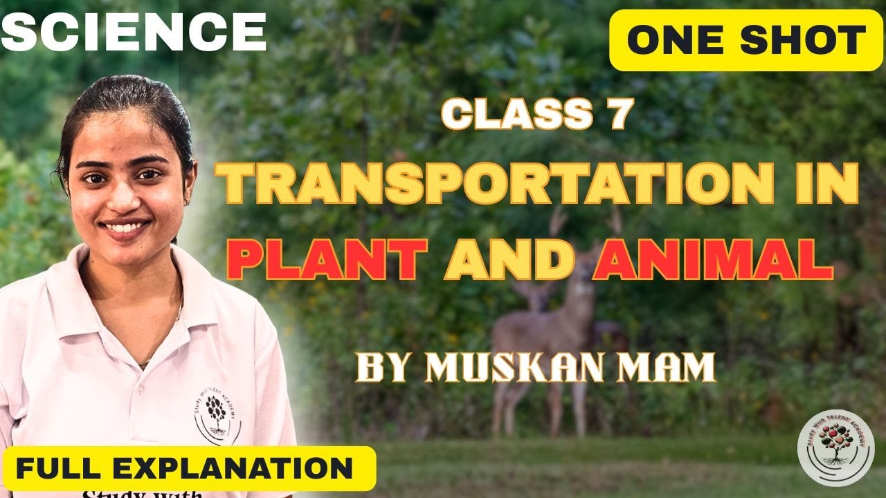 Class 7 Science | Transportation in Plants and Animals | One Shot Full ...
