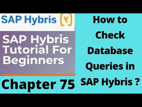 How to Check Queries That are Executed When an Object is Saved | How to Log DB Queries in SAP Hybris