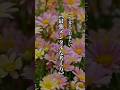 一生覚えておきたい【最強メンタルな考え方】 #言葉 #名言 #心に響く言葉 #考え方