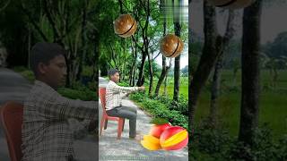 Rounding deep brown🟤macadamia nuts to Lichi,Apple, Banaana and Mango _ Fruits names magic video